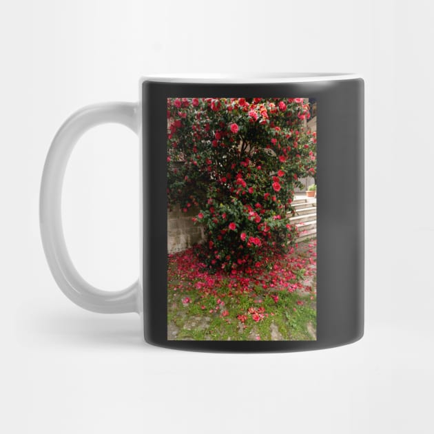 Red camellia flowers blooming in the garden by NxtArt